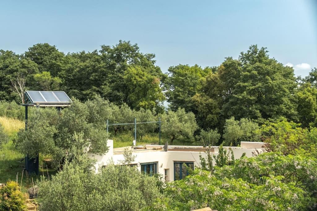 Borgo Del Mastro E Una Finestra Sul Mondo Apartment Trevignano Romano Exterior photo